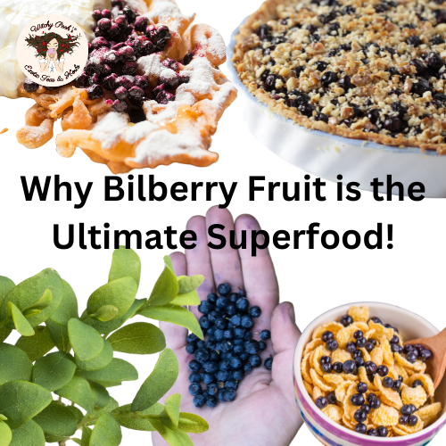 Why Bilberry Fruit is the Ultimate Superfood!