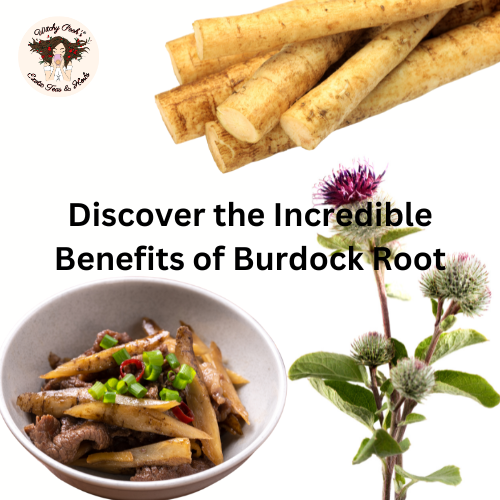 Discover the Incredible Benefits of Burdock Root