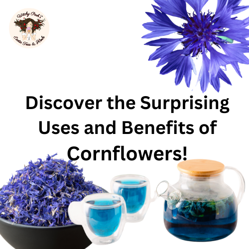 Discover the Surprising Uses and Benefits of Cornflowers!