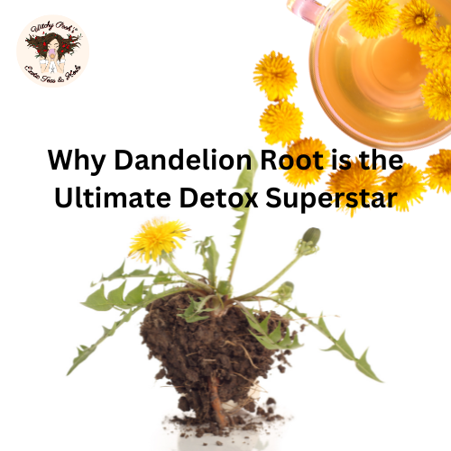 Why Dandelion Root is the Ultimate Detox Superstar