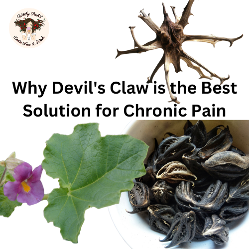 Why Devil's Claw is the Best Solution for Chronic Pain