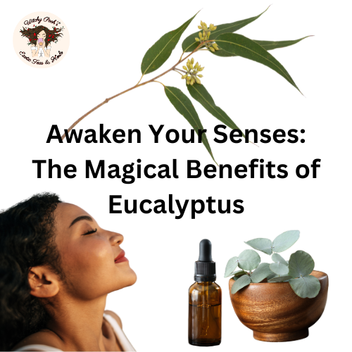 Awaken Your Senses: The Magical Benefits of Eucalyptus