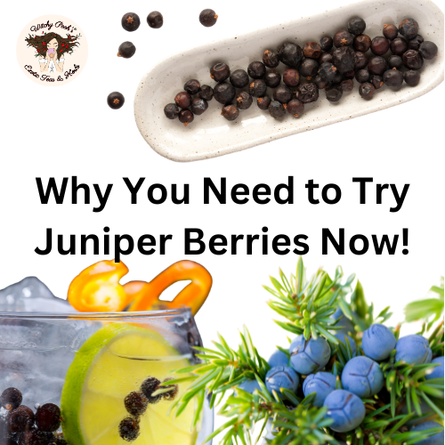 Why You Need to Try Juniper Berries Now!