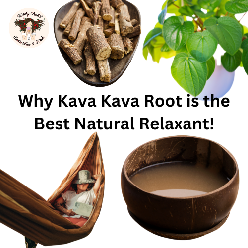 Why Kava Kava Root is the Best Natural Relaxant!