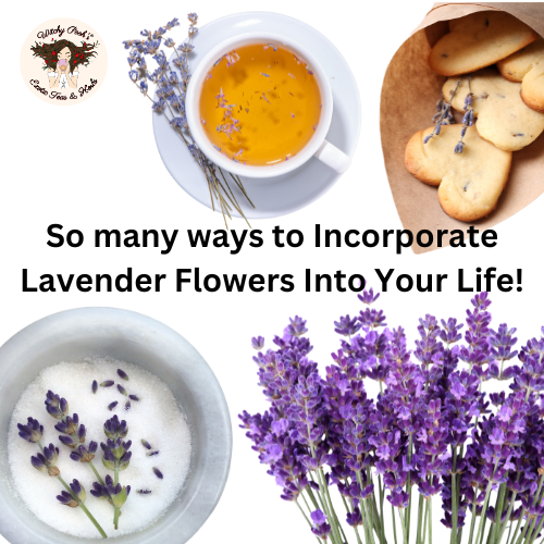 So many ways to Incorporate Lavender Flowers Into Your Life!