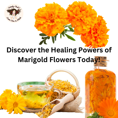 Discover the Healing Powers of Marigold Flowers Today!