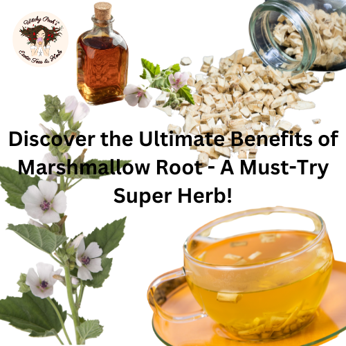 Discover the Ultimate Benefits of Marshmallow Root - A Must-Try Super Herb!