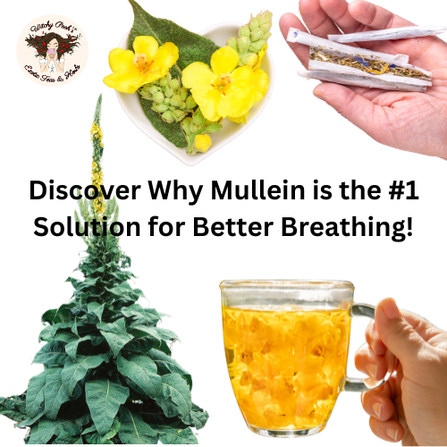 Discover Why Mullein is the #1 Solution for Better Breathing!