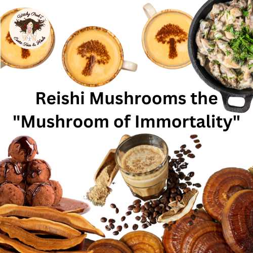 Reishi Mushrooms the "Mushroom of Immortality"