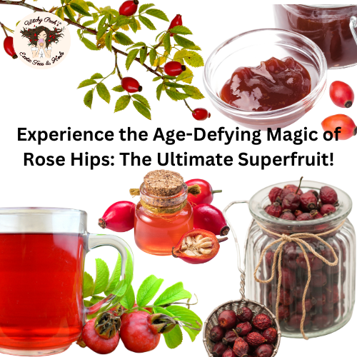 Experience the Age-Defying Magic of Rose Hips: The Ultimate Superfruit!