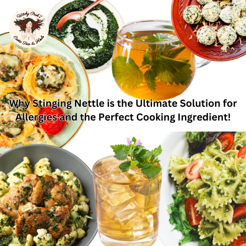 Why Stinging Nettle is the Ultimate Solution for Allergies and the Perfect Cooking Ingredient!