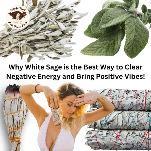 Why White Sage is the Best Way to Clear Negative Energy and Bring Positive Vibes!