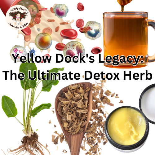 Yellow Dock's Legacy: The Ultimate Detox Herb