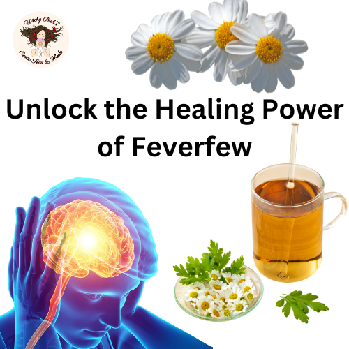 Unlock the Healing Power of Feverfew