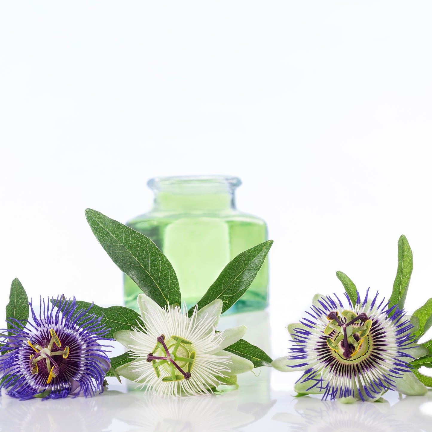 Witchy Pooh's Passion Flower Herb for Calmness, Love and Prosperity