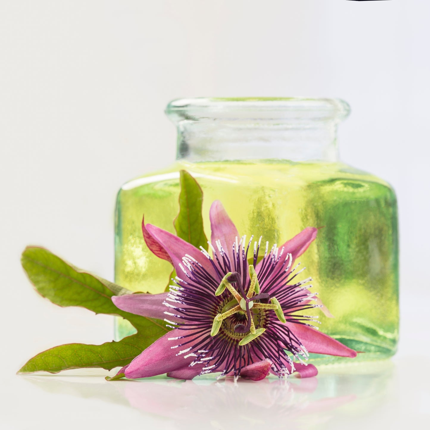 Witchy Pooh's Passion Flower Herb for Calmness, Love and Prosperity