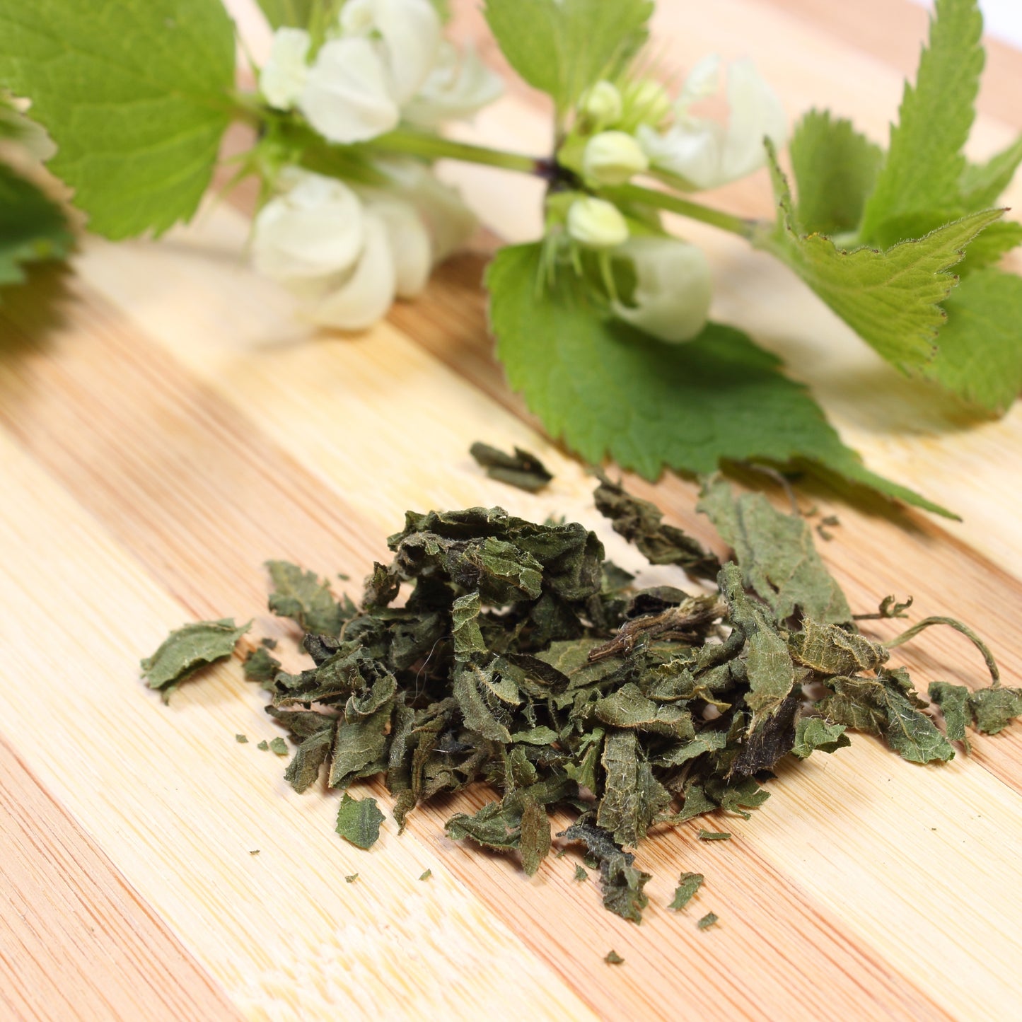 Witchy Pooh's Stinging Nettle Leaf Herb For Protection from Harm, Ward Off Evil, Reverse Curses