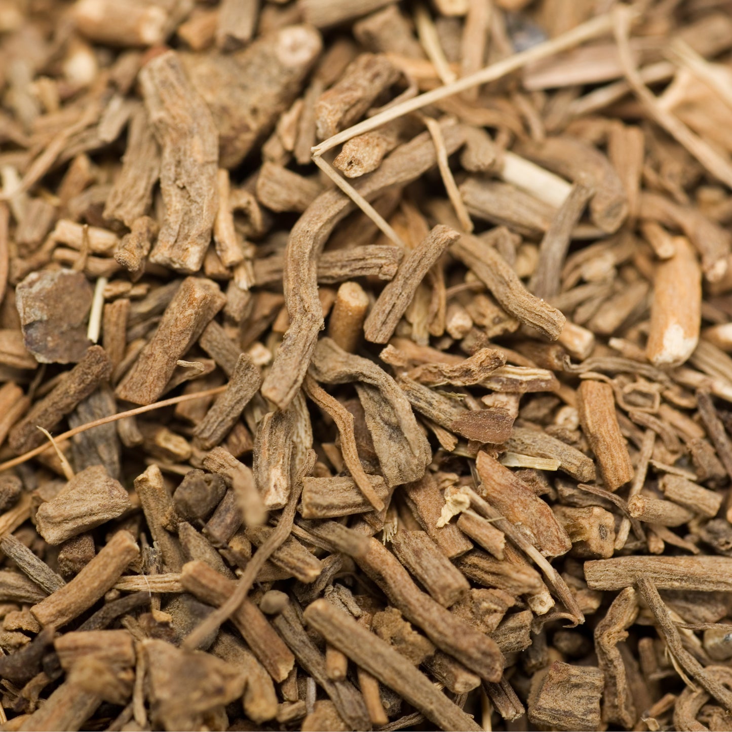 Witchy Pooh's Valerian Root - A Root of Mystery, Magic, and Spiritual Connection