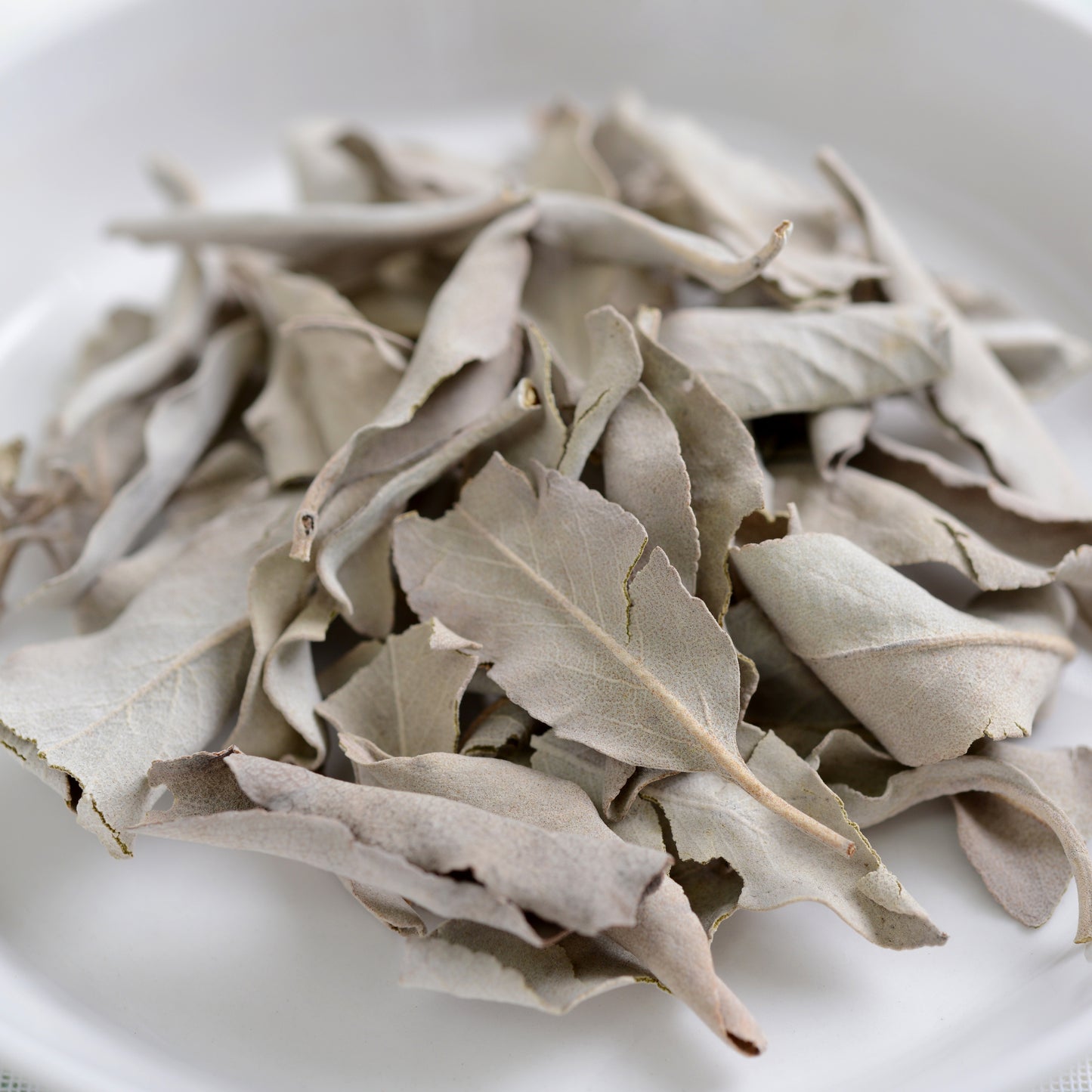 Witchy Pooh's White Sage Whole Leaf for Smudging, Purification and Ritual