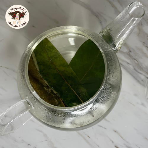 Witchy Pooh's Soursop Whole Tea Leaves for Holistic Use and Rituals