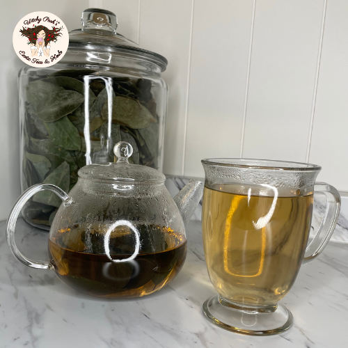 Witchy Pooh's Soursop Whole Tea Leaves for Holistic Use and Rituals