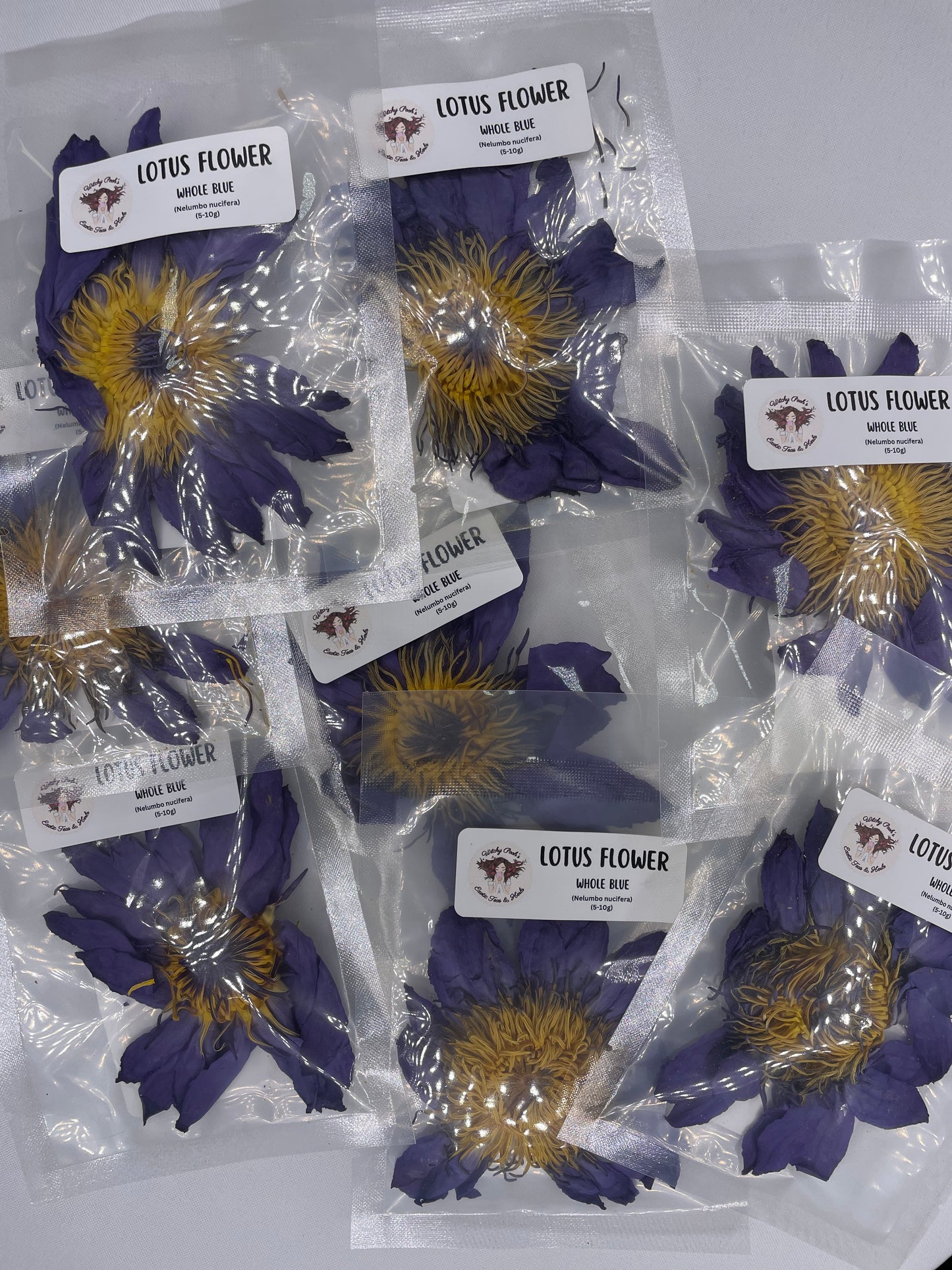 Witchy Pooh's Lotus Flowers, Whole Flowers Blue and Yellow For Tea, Sleep Aid and Enlightenment Rituals