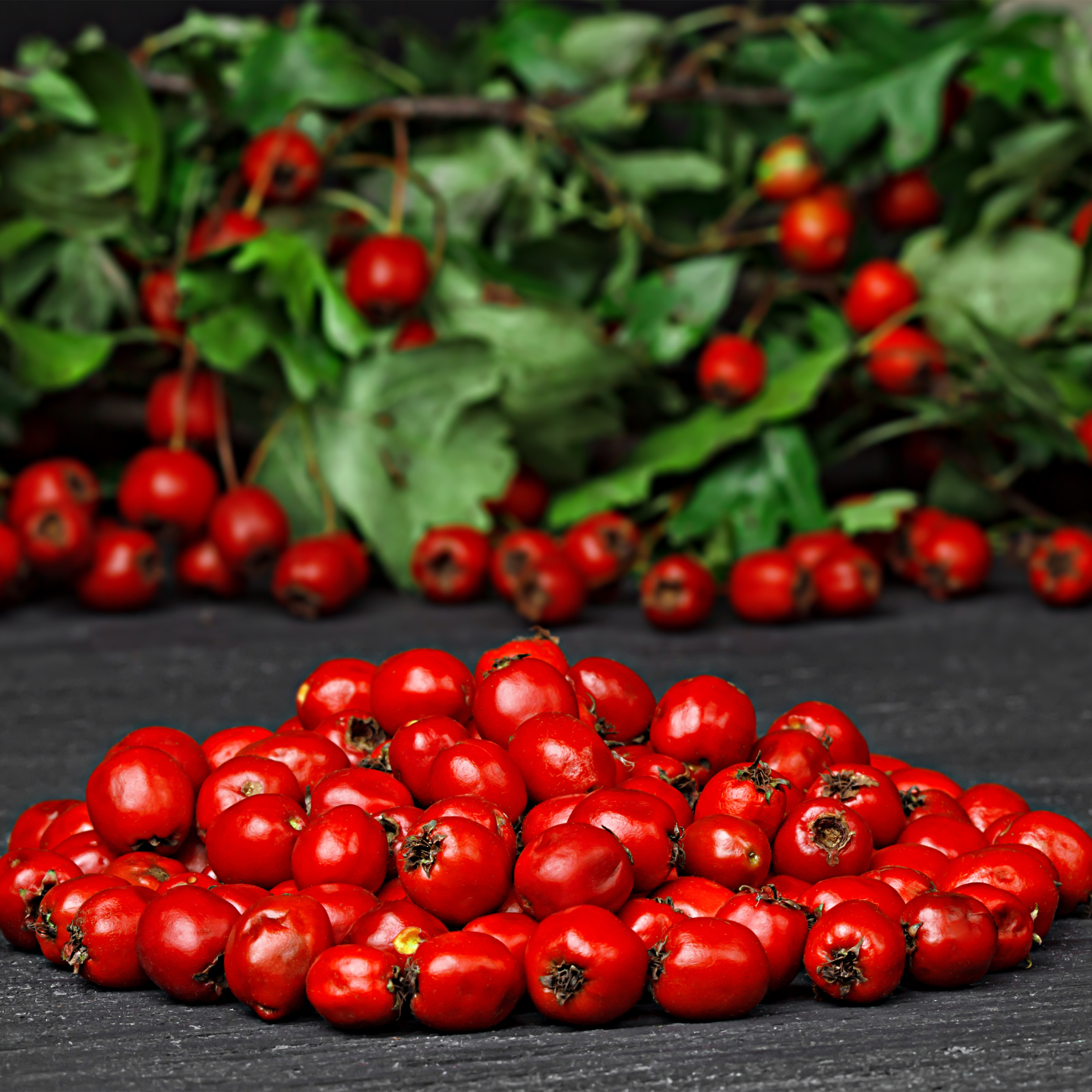 Witchy Pooh's Hawthorn Berries For Rituals to Guide The Deceased to the Afterlife and Connection to the Fairy Realm