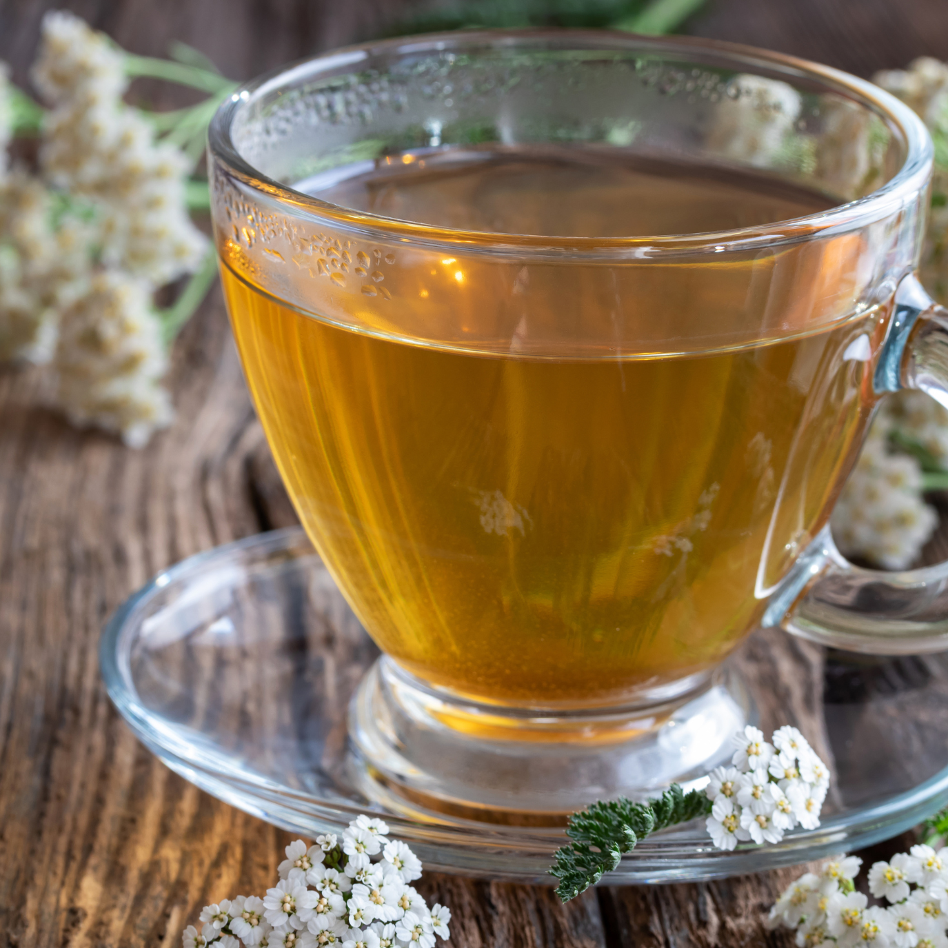 Witchy Pooh's Yarrow Flowers Herb For Topical Wound Healing, Heighten Senses for Ritual and Intuition