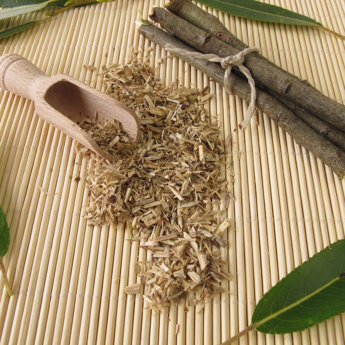 Witchy Pooh's White Willow Bark an Ancient Ally for Spiritual Exploration and Harmony