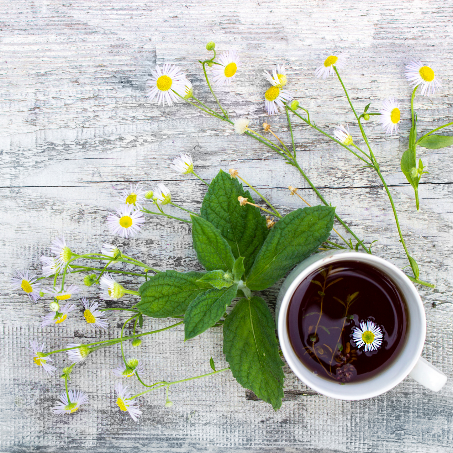 Witchy Pooh's Beddy Time Loose Leaf Herbal Chamomile Peppermint Tea, Caffeine Free, Natural Sleep Aid