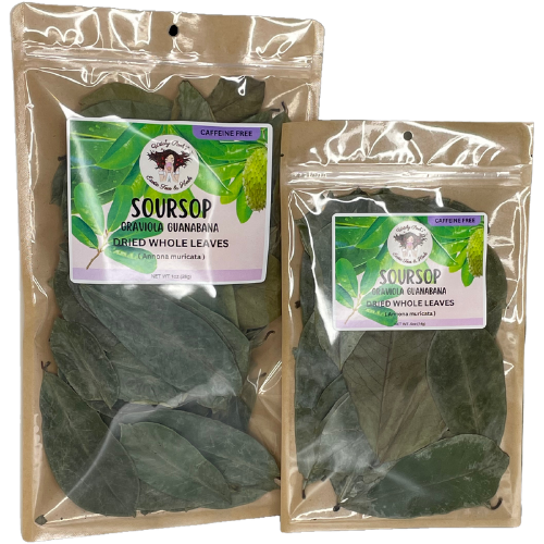 Witchy Pooh's Soursop Whole Tea Leaves for Holistic Use and Rituals