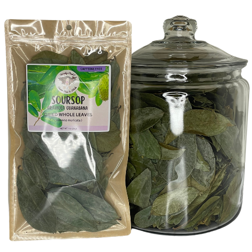 Witchy Pooh's Soursop Whole Tea Leaves for Holistic Use and Rituals