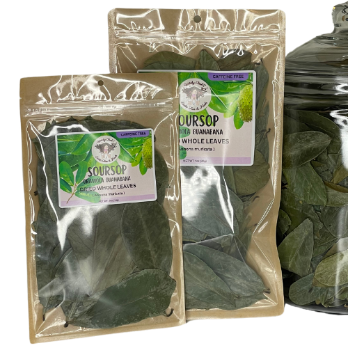 Witchy Pooh's Soursop Whole Tea Leaves for Holistic Use and Rituals