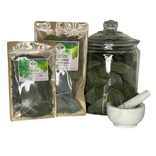 Witchy Pooh's Soursop Whole Tea Leaves for Holistic Use and Rituals