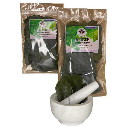 Witchy Pooh's Soursop Whole Tea Leaves for Holistic Use and Rituals