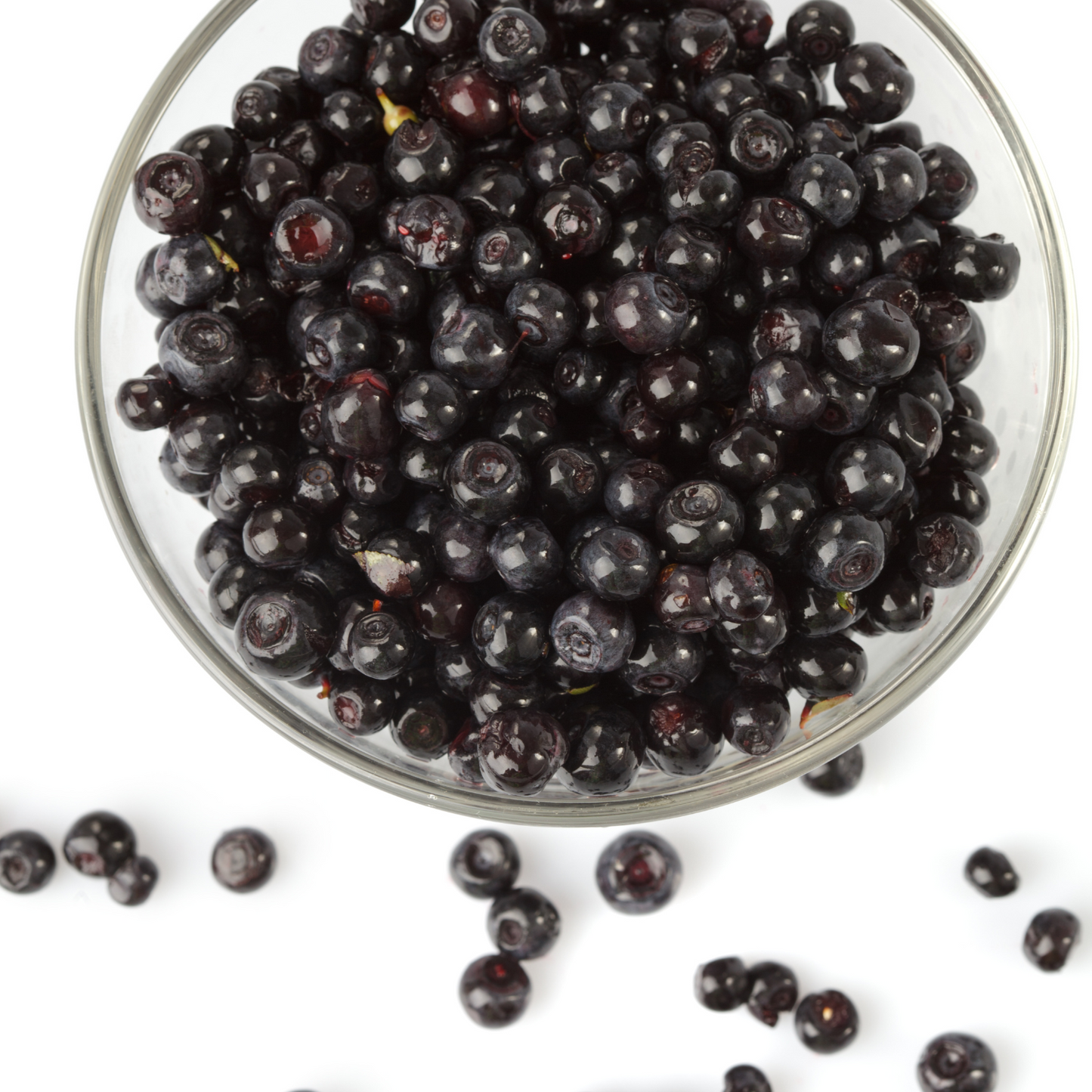 Witchy Pooh's Bilberry Fruit Whole Soft and Chewy Berry Snack, Exotic Berries Great for Trail Mix