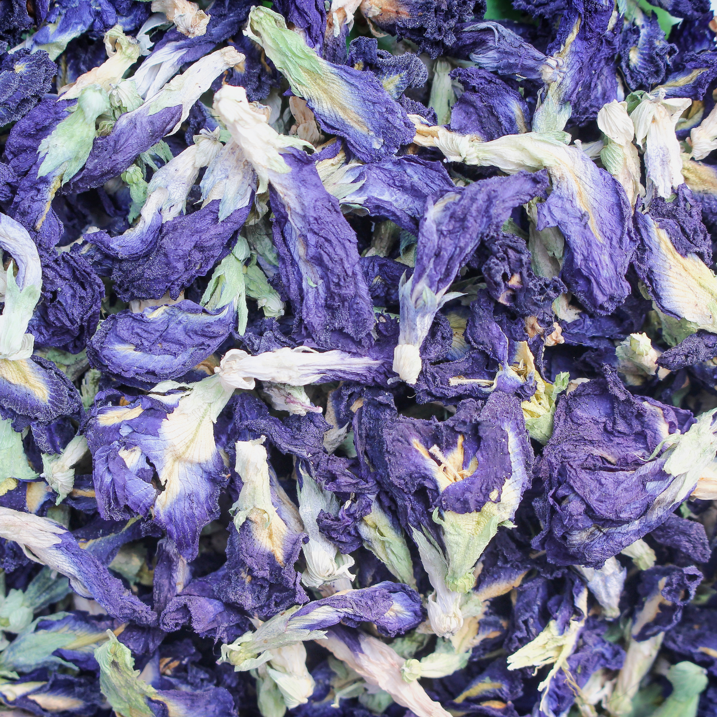 Witchy Pooh's Butterfly Pea Flower Loose Leaf Herbal Blue Colored Tea, Add Lime to Turn Purple!