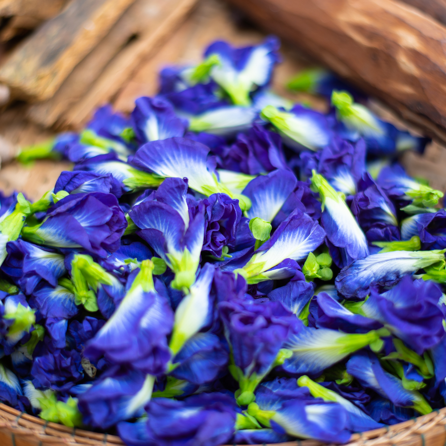 Witchy Pooh's Butterfly Pea Flower Loose Leaf Herbal Blue Colored Tea, Add Lime to Turn Purple!