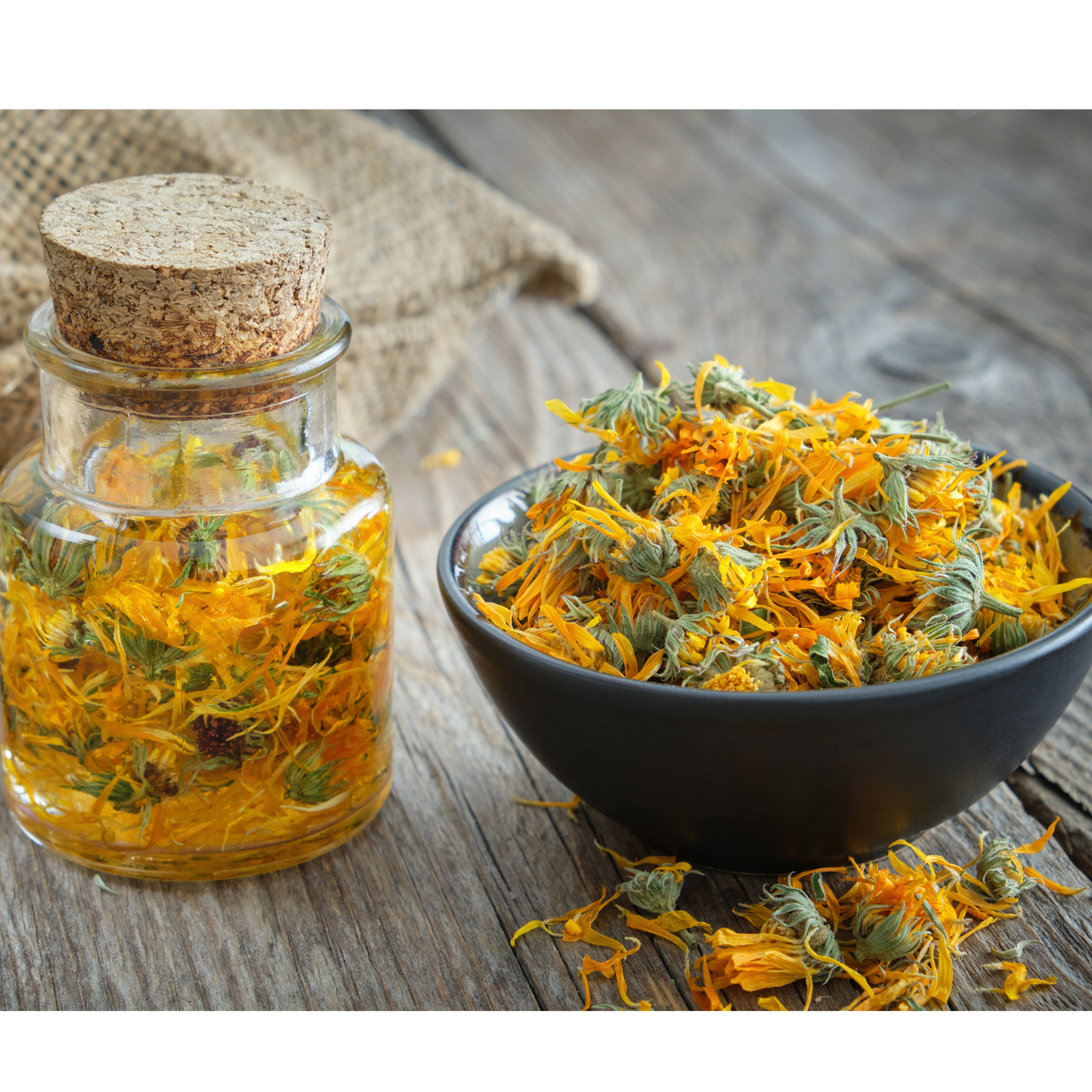 Witchy Pooh's Arnica Flowers for Topical Pain Relief