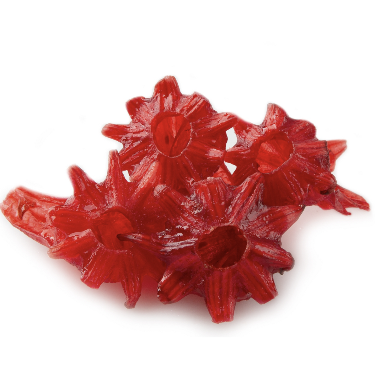 Witchy Pooh's Candy Hibiscus Flowers, Sweet Candy Coated Whole Bright Red Hibiscus Flowers, Addicting Snack!