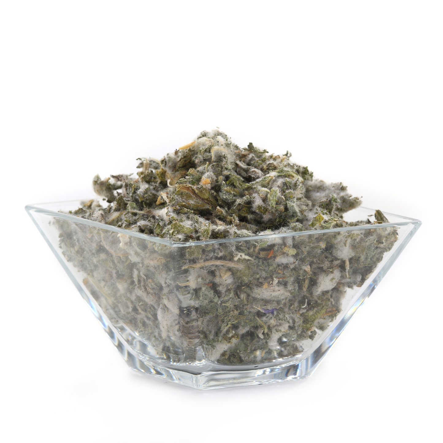 Witchy Pooh's Mullein Leaf Herb for Smudging, Ritual to Cleanse and Empower the Aura