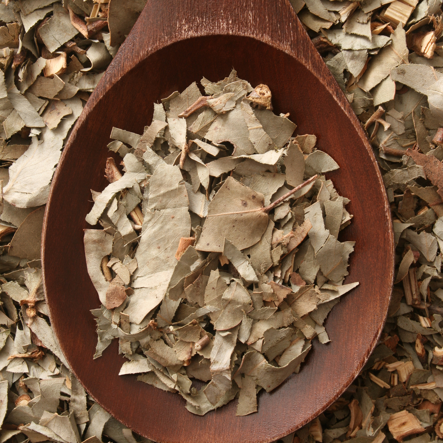 Witchy Pooh's Eucalyptus Loose Leaf for Simmer Pots, Bath and Ritual to Unveil the Spirit Within