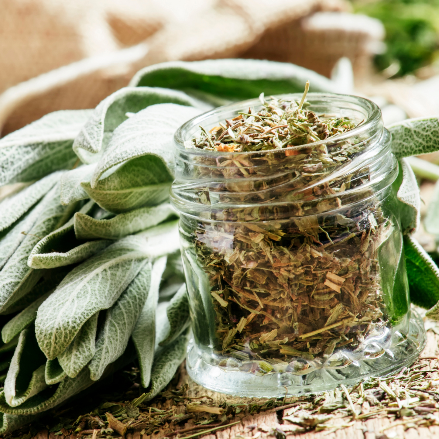 Witchy Pooh's Sage Herb For Clearing Negative Energy Smudging and Air Purification of a Space