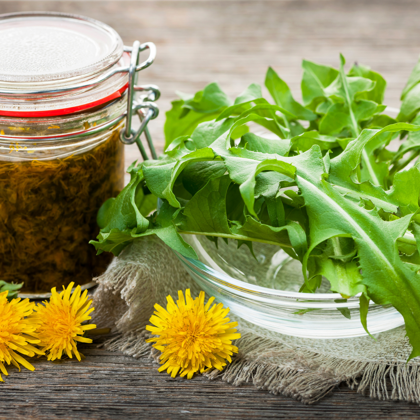 Witchy Pooh's Dandelion Root Loose Leaf Herbal Tea for Purification Rituals and Healing Ceremonies