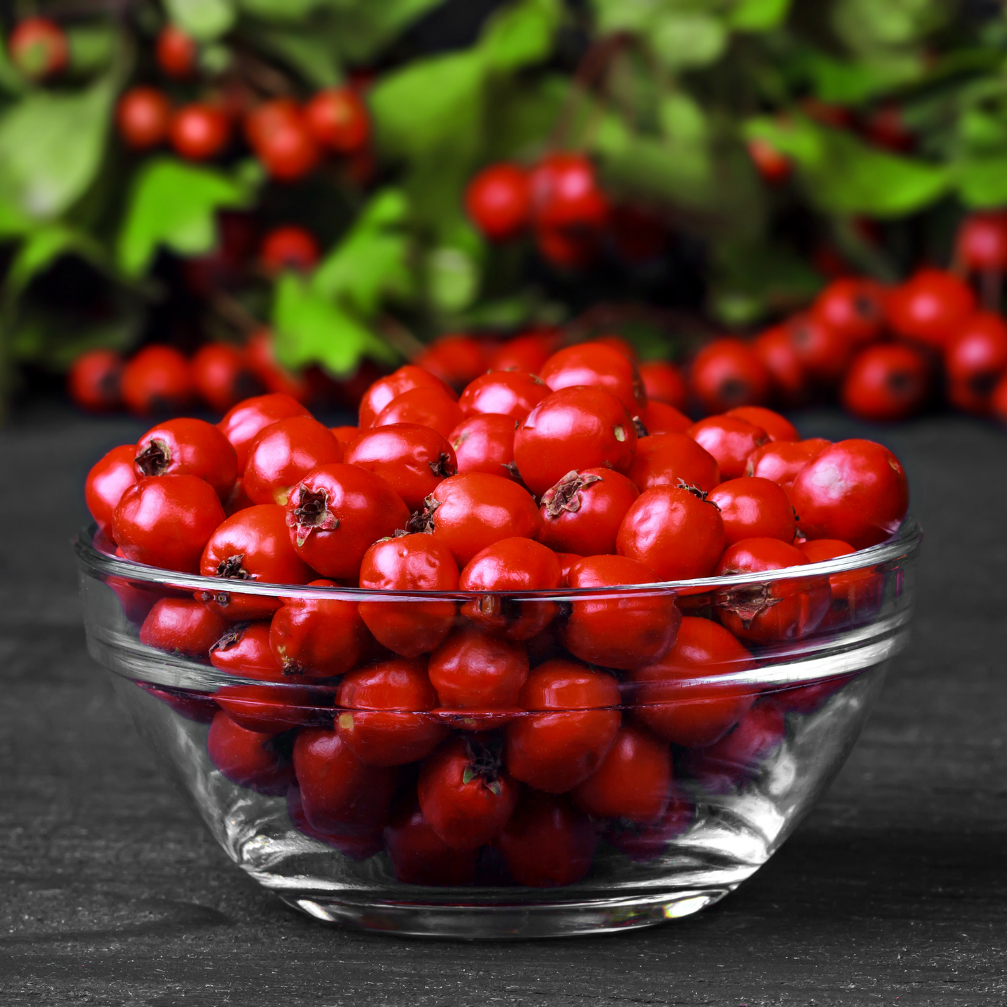 Witchy Pooh's Hawthorn Berries For Rituals to Guide The Deceased to the Afterlife and Connection to the Fairy Realm