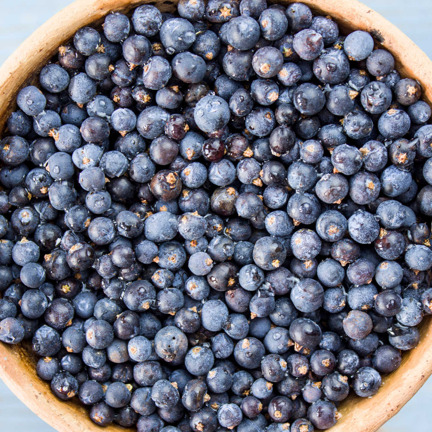 Witchy Pooh's Juniper Berries For Simmer Pots, Cooking and  Rituals to Ward Off Negativity