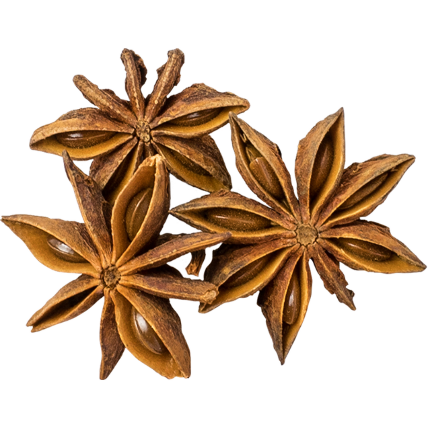 Witchy Pooh's Anise Stars Whole High Quality Strong Smell for Simmer Pots, Cooking and Ritual