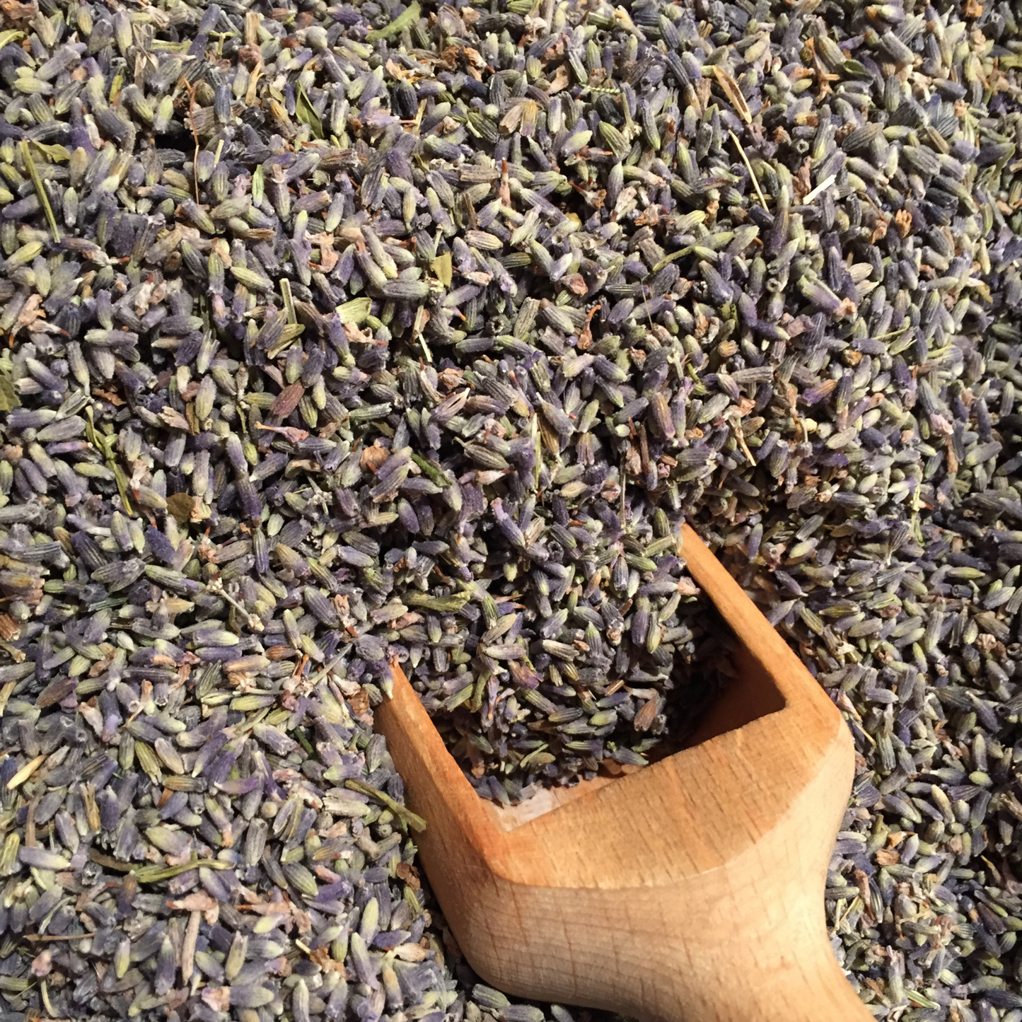 Witchy Pooh's Lavender Flowers for Simmer Pots, Cooking, Crafting, Tea, Relaxation and Sleep Aid