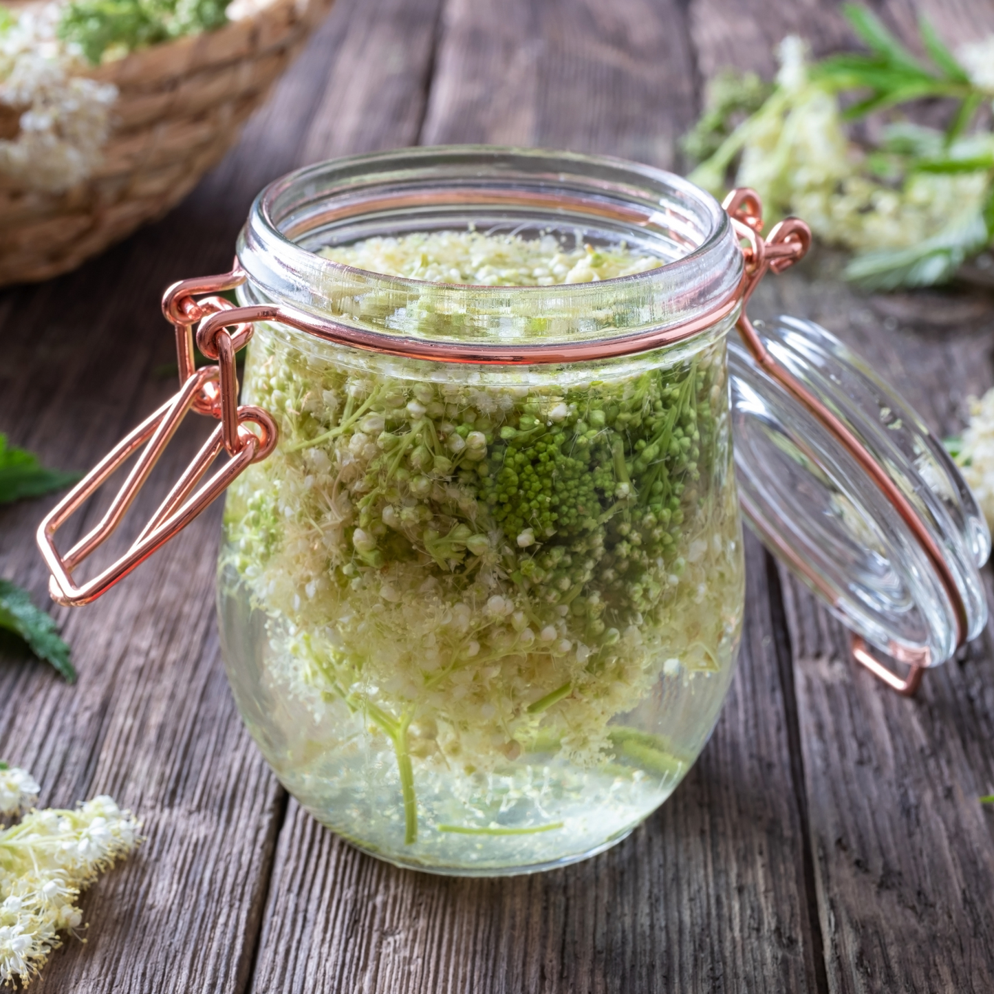 Witchy Pooh's Meadowsweet Herb Symbolizes Healing, Peace, Mind and Body