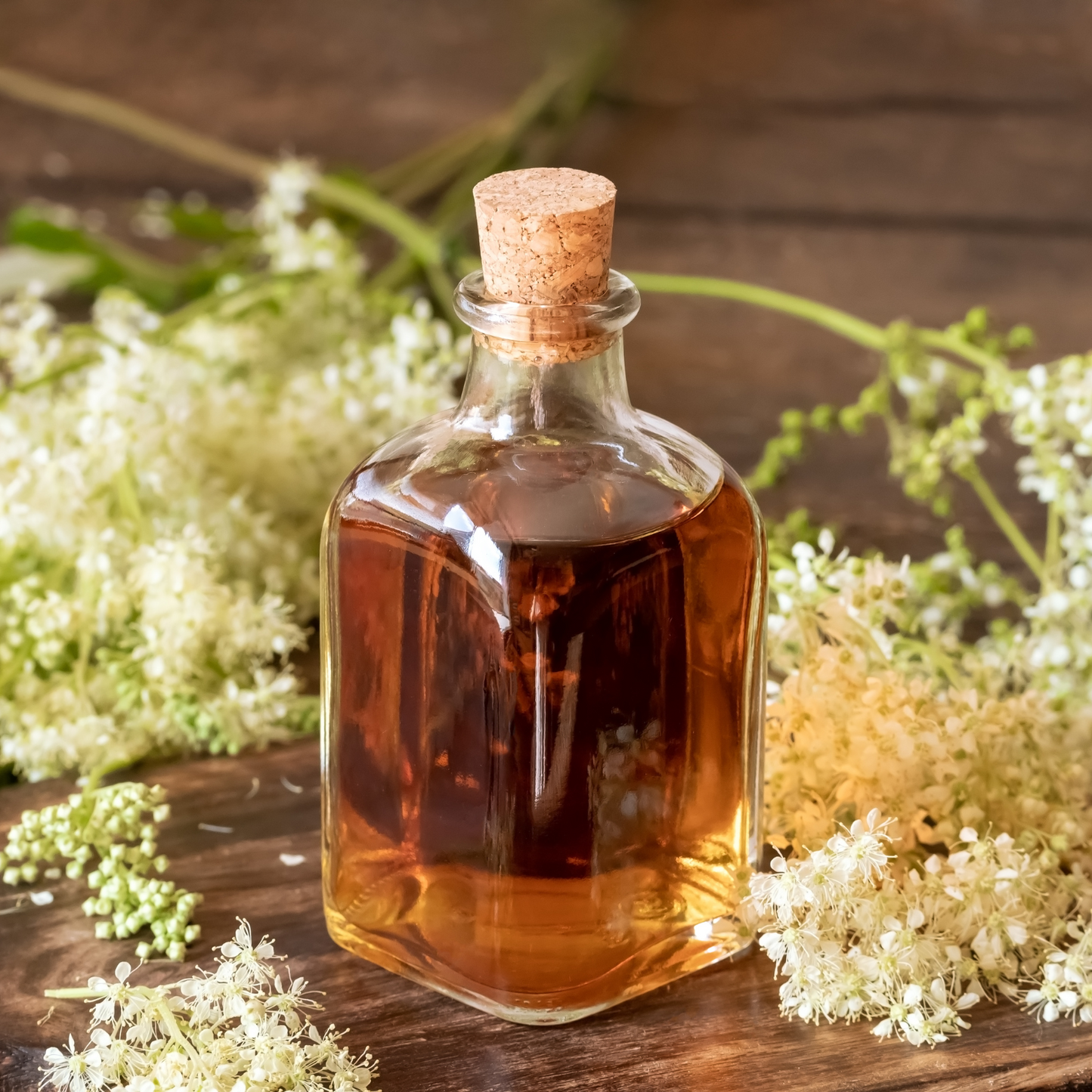 Witchy Pooh's Meadowsweet Herb Symbolizes Healing, Peace, Mind and Body